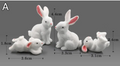 Figurines Mini Animaux en Résine – Décoration de Micro-Paysages DIY